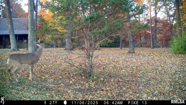 $599,000 | 41493 335th Avenue, Griggsville, IL 62340