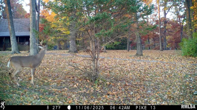 $1,000,000 | 41493 335th Avenue, Griggsville, IL 62340