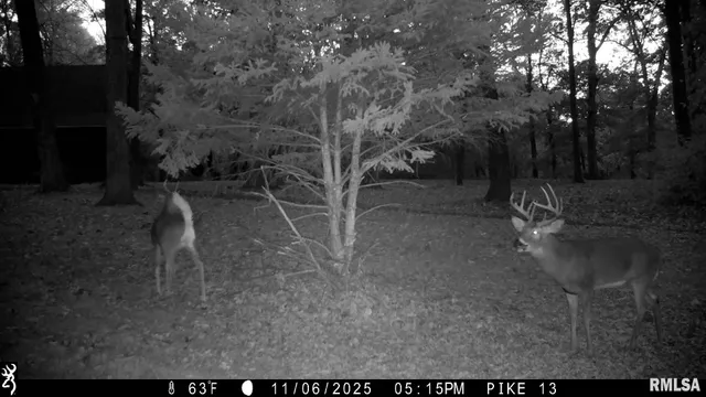 $1,000,000 | 41493 335th Avenue, Griggsville, IL 62340