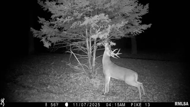 $1,000,000 | 41493 335th Avenue, Griggsville, IL 62340