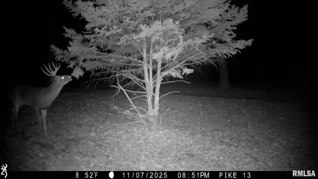 $1,000,000 | 41493 335th Avenue, Griggsville, IL 62340