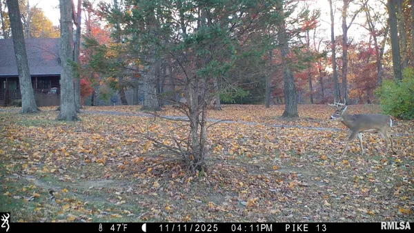 $849,000 | 41493 335th Avenue, Griggsville, IL 62340