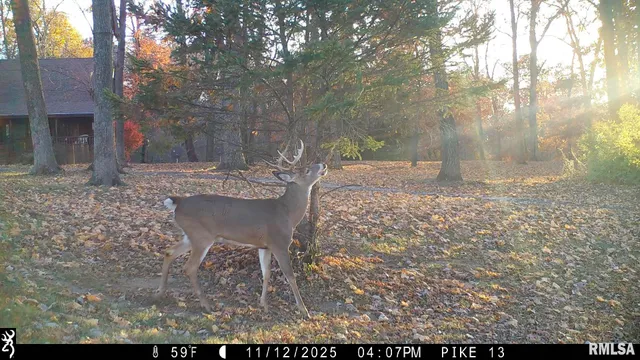 $1,000,000 | 41493 335th Avenue, Griggsville, IL 62340