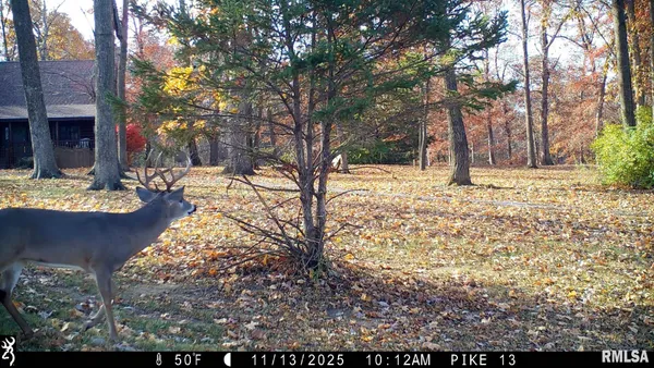 $599,000 | 41493 335th Avenue, Griggsville, IL 62340