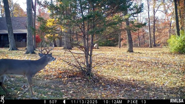 $1,000,000 | 41493 335th Avenue, Griggsville, IL 62340