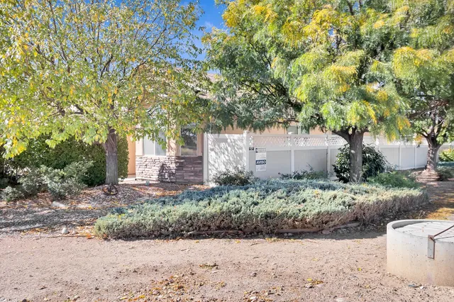 a view of a backyard with large trees and plants