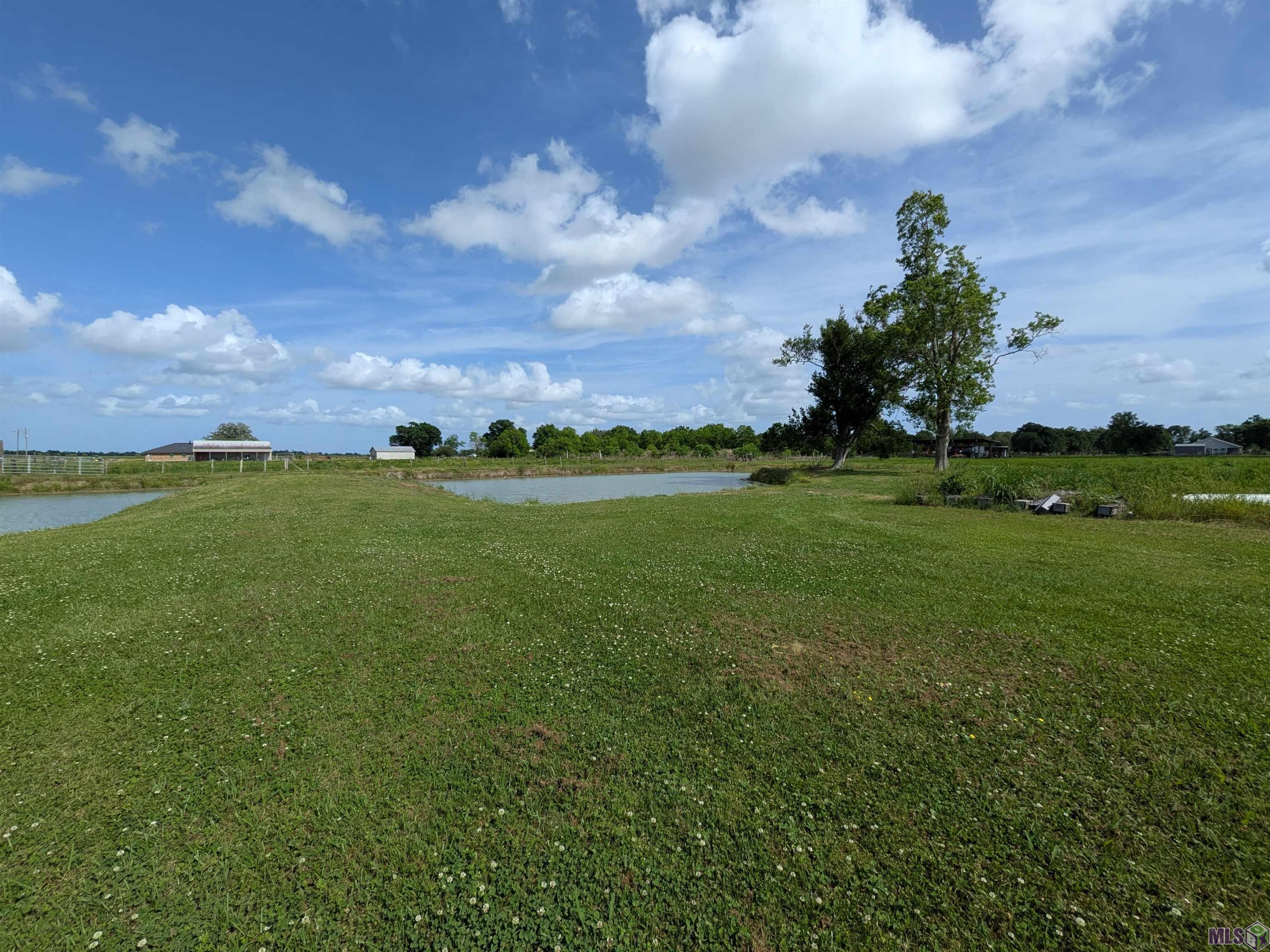 68 Magnolia Street Raceland, LA 70394 - Photo 43 of 46