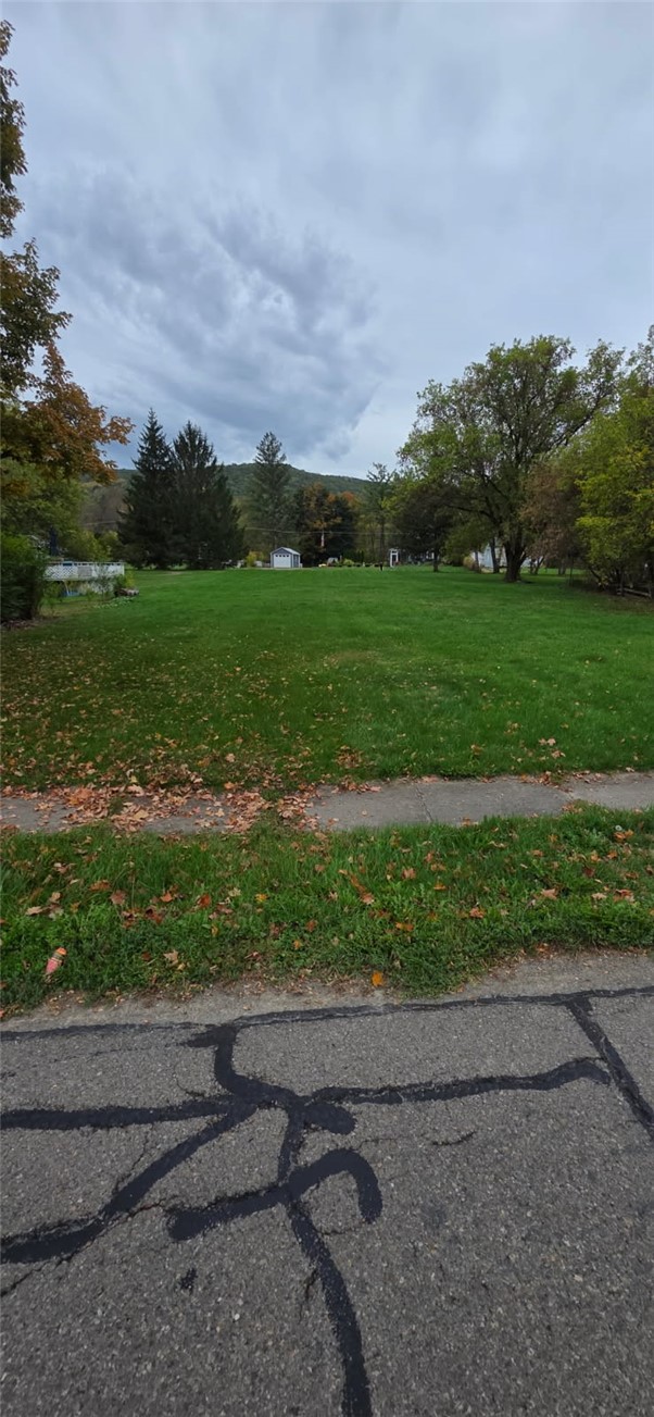 225 Main Street Erwin, NY 14870 - Photo 2 of 3