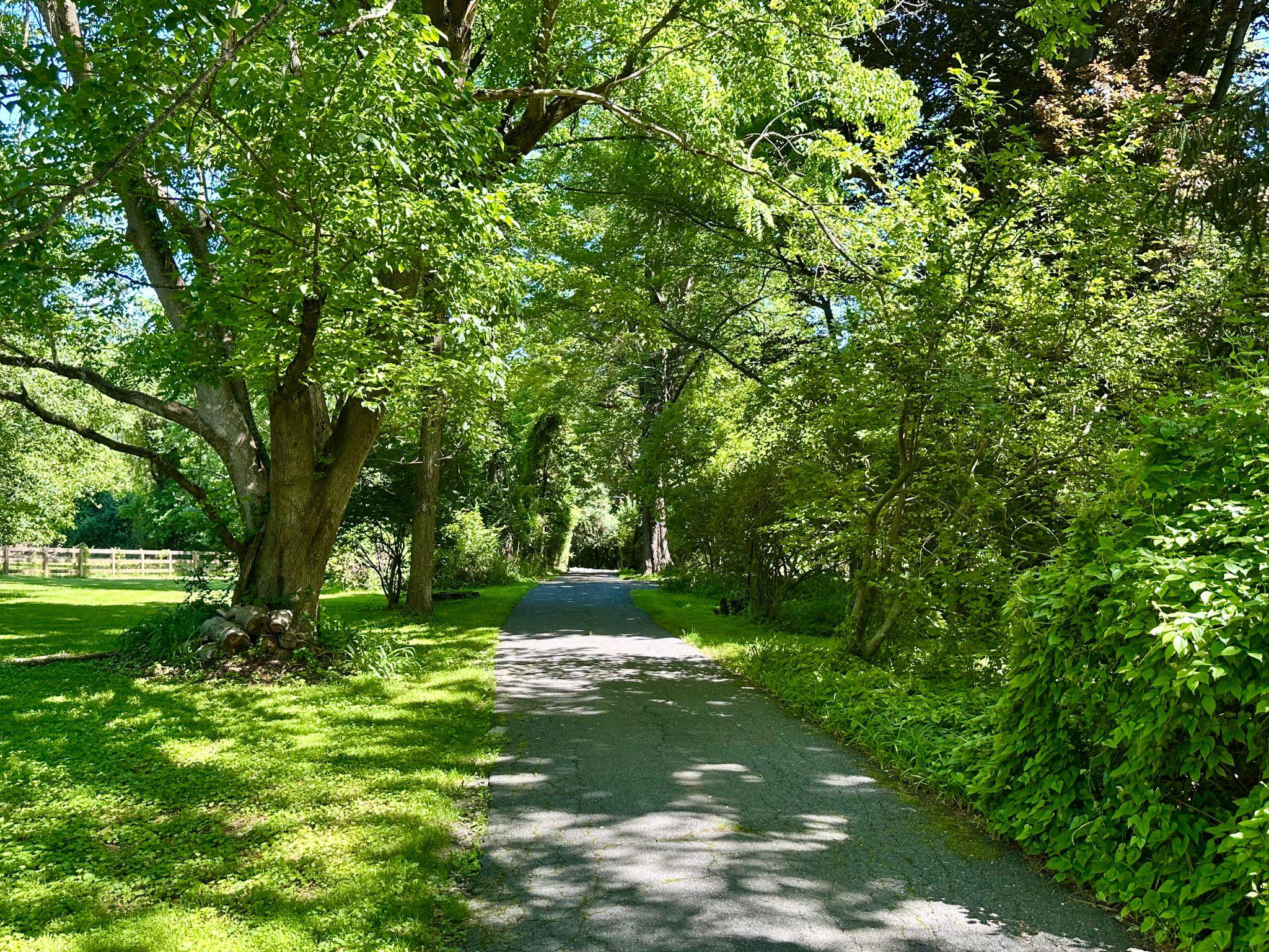 6739 South Clifton Road Frederick, MD 21703 - Photo 47 of 52 Serene driveway through lush greenery.