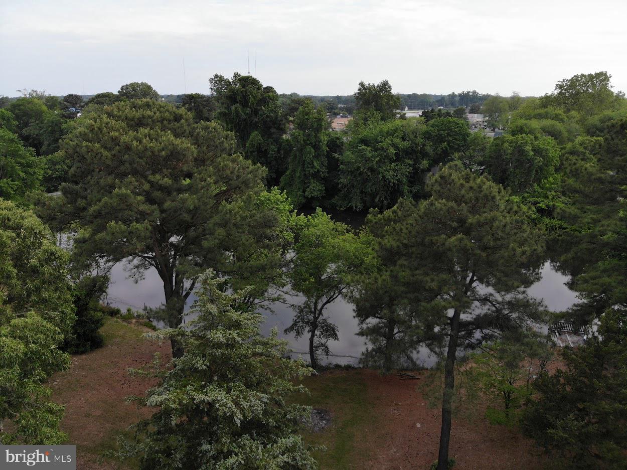 28698 Old Quantico Road Salisbury, MD 21801 - Photo 28 of 37 View from the house