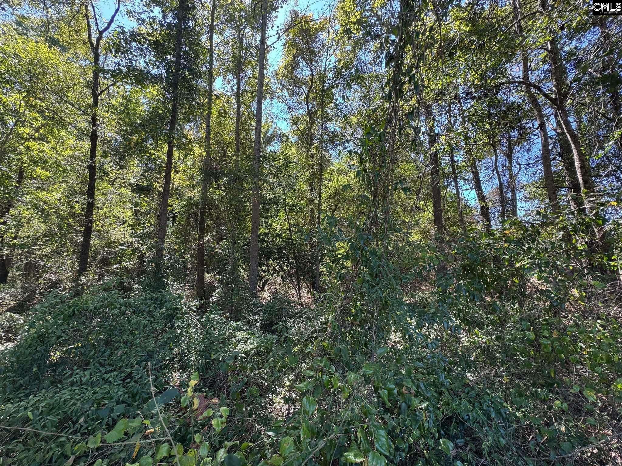 St Matthews Church Road Sumter, SC 29153 - Photo 10 of 34 Gallery Image 10