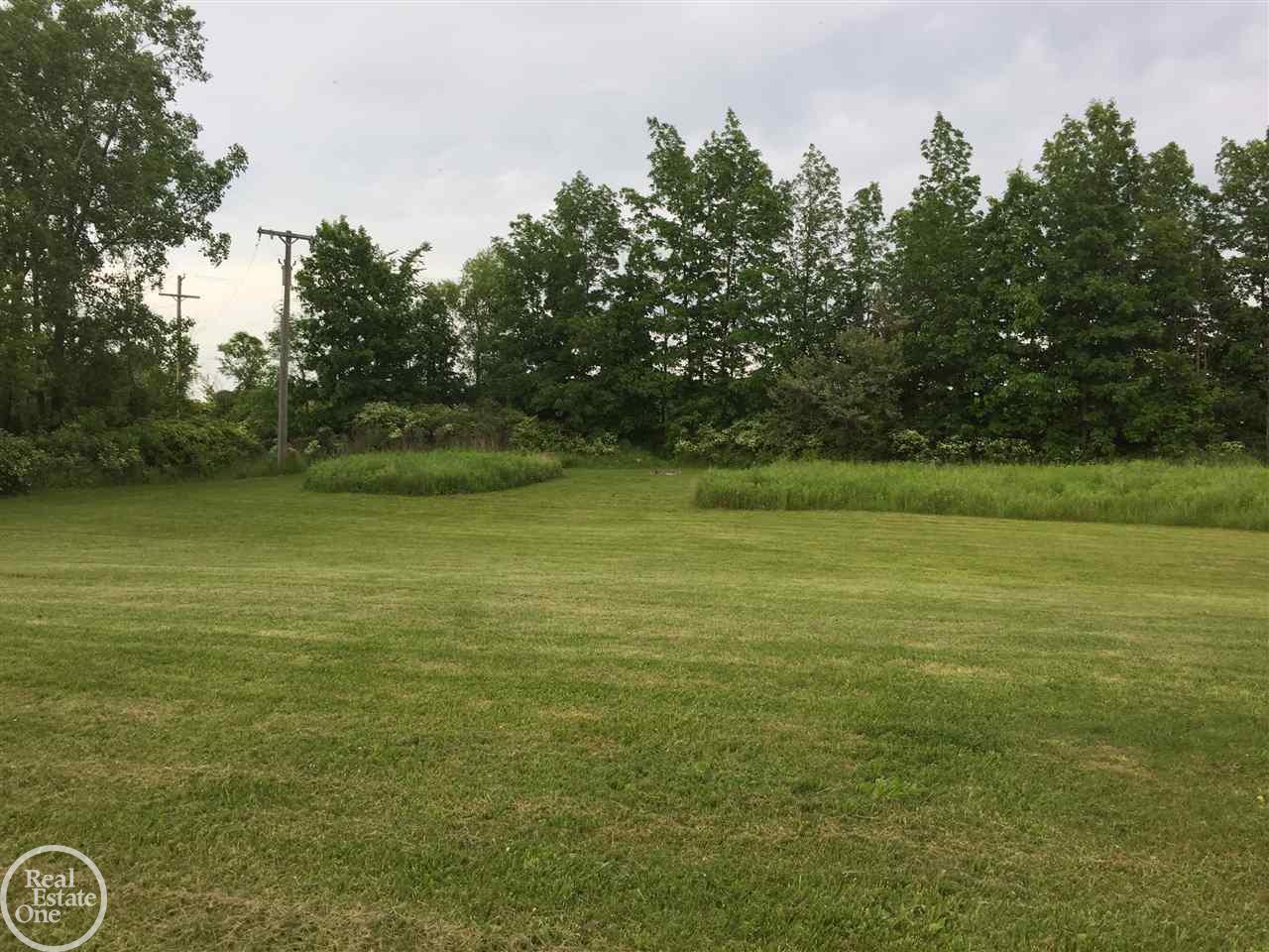 8562 Fisher Road Avoca, MI 48006 - Photo 6 of 39