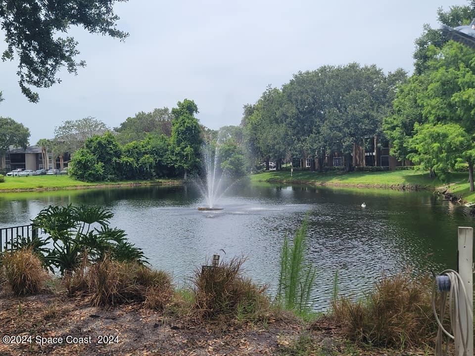 7667 North Wickham Road, Unit 601 Melbourne, FL 32940 - Photo 2 of 21 a view of a lake with a yard and large trees