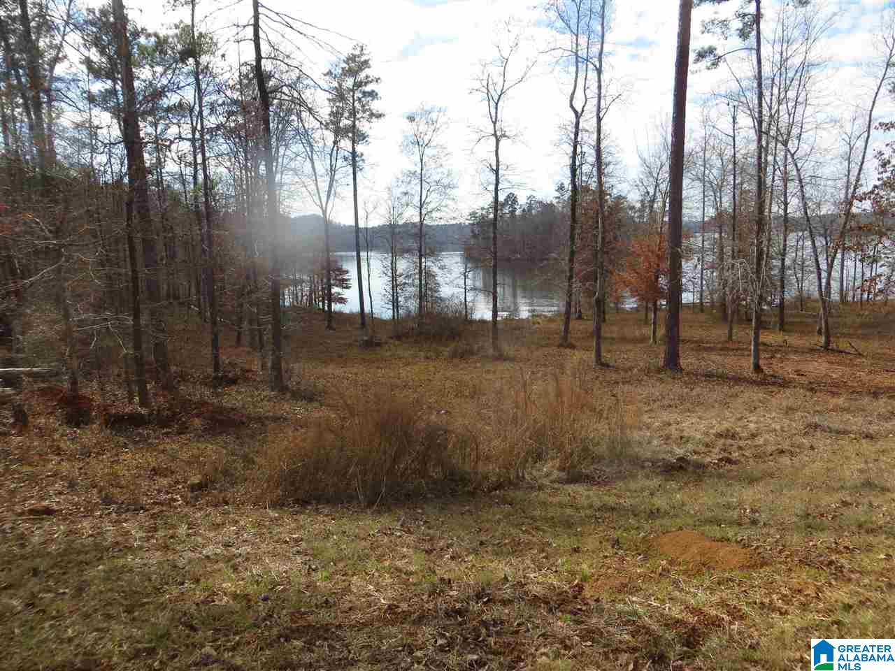 Lot 11 Eagle Mountain Road, Unit 11 Alexander City, AL 35010 - Photo 7 of 11