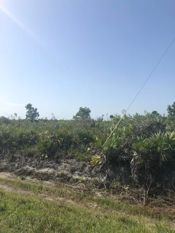 a view of a town with trees in the background