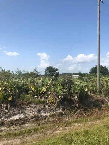 a view of a lake in middle of forest