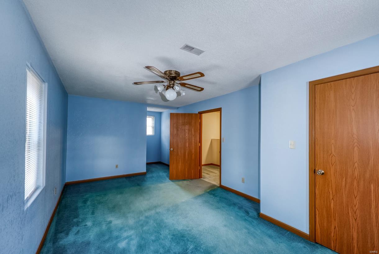 32457 Teney Hollow Road Brighton, IL 62012 - Photo 20 of 29