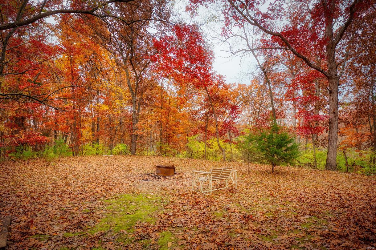 32457 Teney Hollow Road Brighton, IL 62012 - Photo 22 of 29