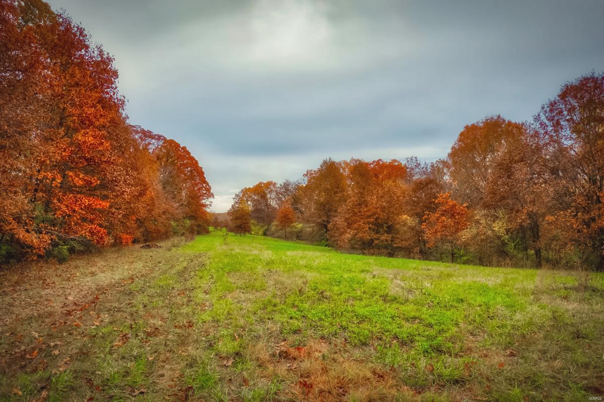 32457 Teney Hollow Road Brighton, IL 62012 - Photo 23 of 29