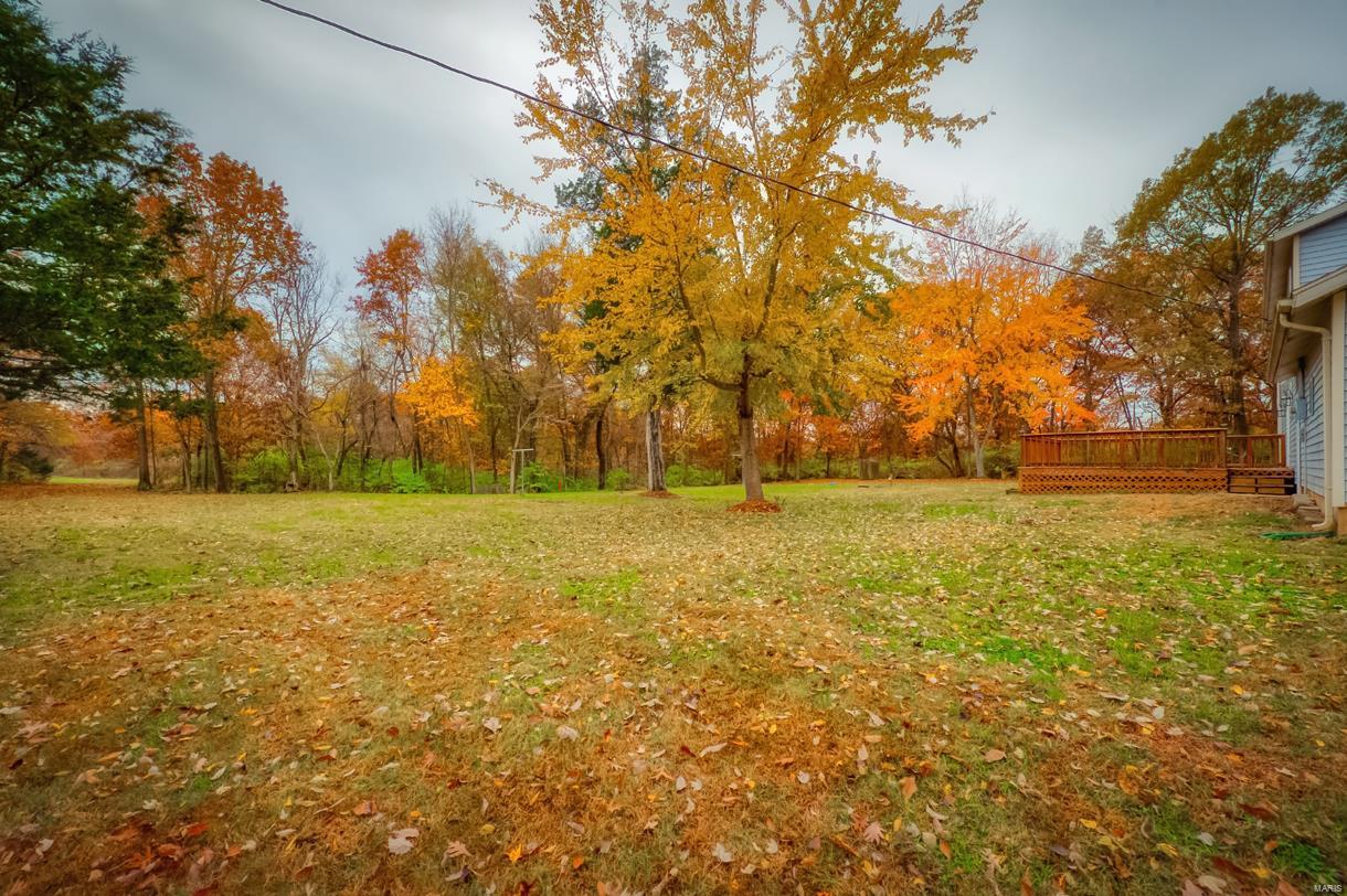 32457 Teney Hollow Road Brighton, IL 62012 - Photo 24 of 29