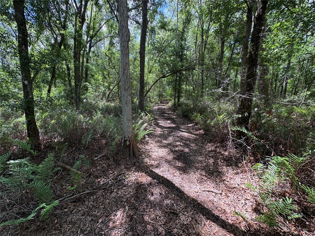 12708 Farmettes Road Lakeland, FL 33809 - Photo 29 of 30 Gallery Image 29