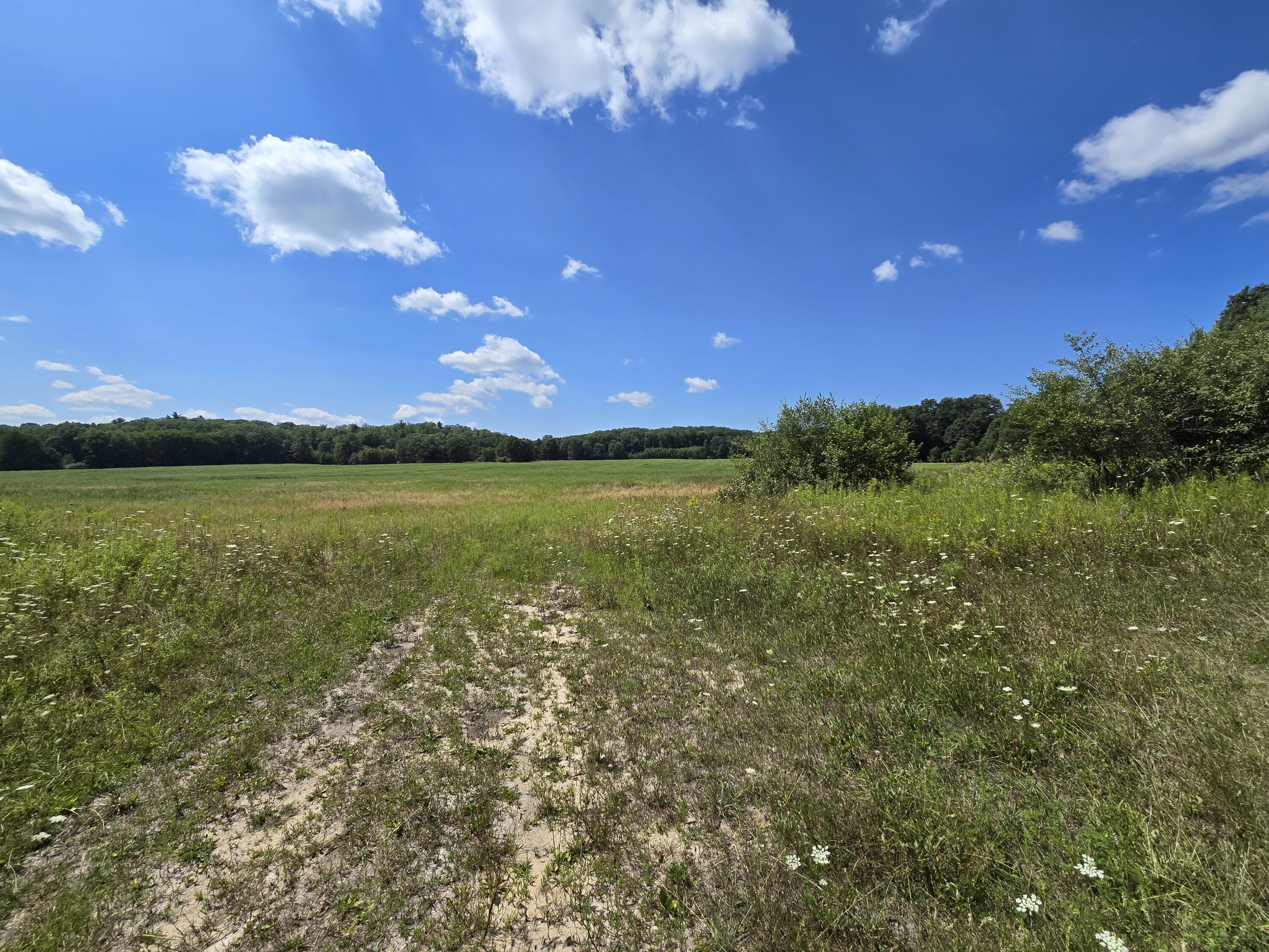 Leckrone Road Brethren, MI 49619 - Photo 3 of 8 20240813_140427