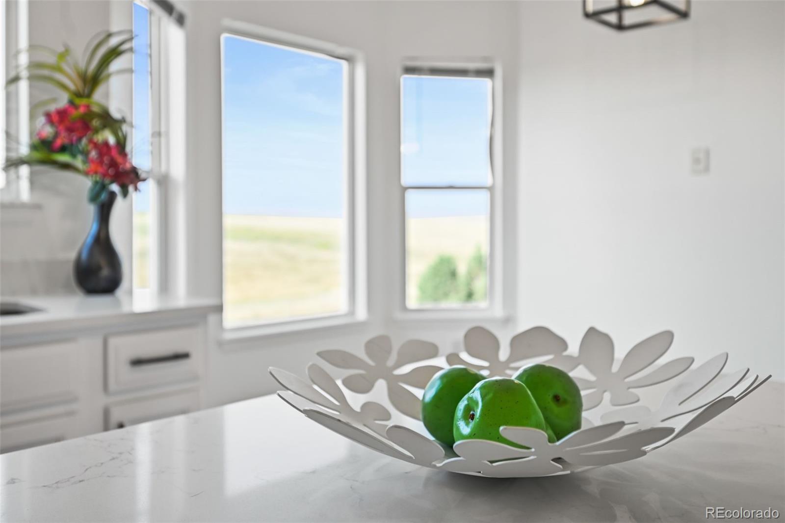 7498 Patrick Trail Elizabeth, CO 80107 - Photo 8 of 45 a view of a dining room with window