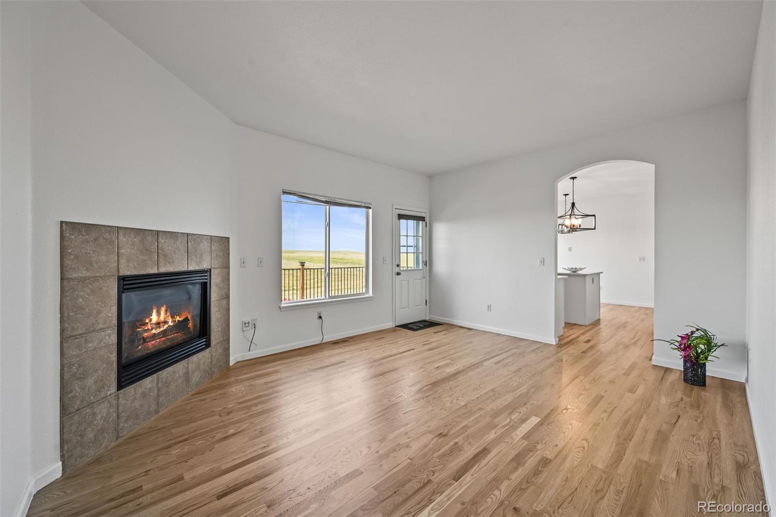 7498 Patrick Trail Elizabeth, CO 80107 - Photo 10 of 45 an empty room with windows fireplace and wooden floor