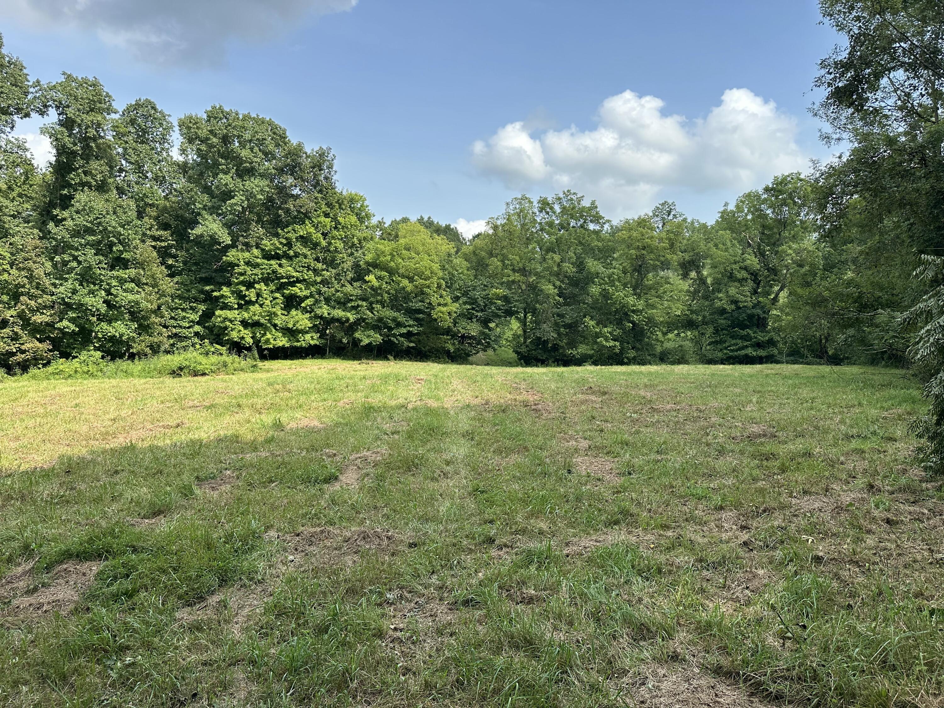 527 South Dividing Ridge Road Sadieville, KY 40370 - Photo 6 of 19 IMG_2752