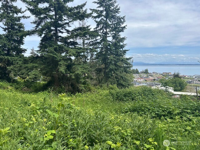 1823 Polnell Road Oak Harbor, WA 98277 - Photo 23 of 30 Gallery Image 23