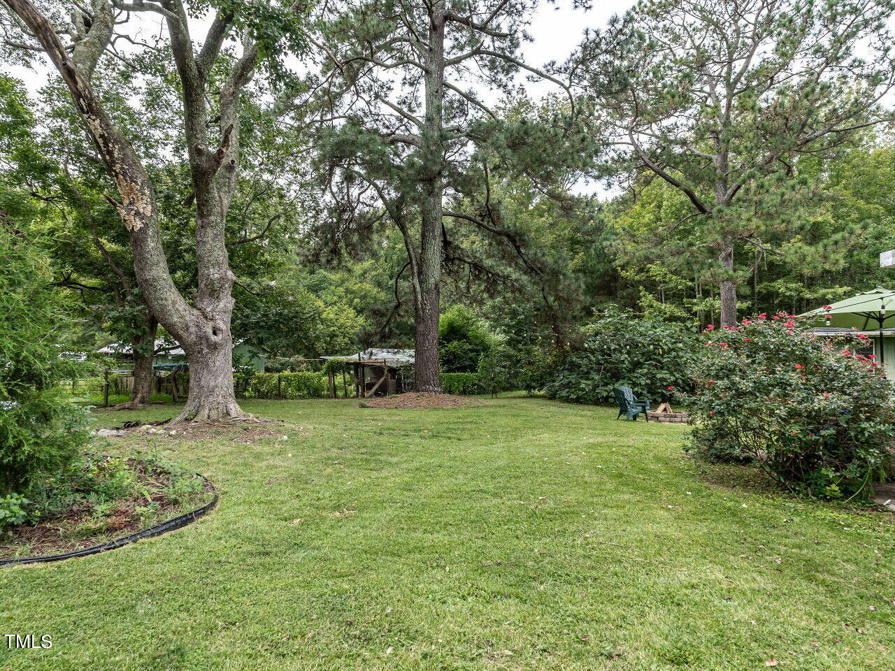 7800 White Oak Road Garner, NC 27529 - Photo 5 of 37 a tall tree in middle of green field