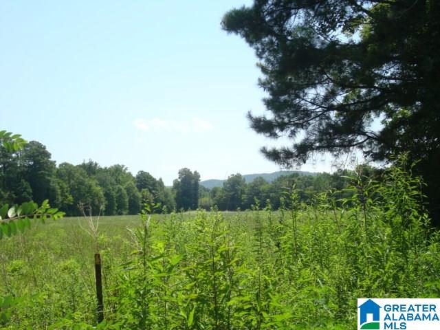 0 Dabbs Road, Unit 19 & 20 Oxford, AL 36203 - Photo 21 of 33