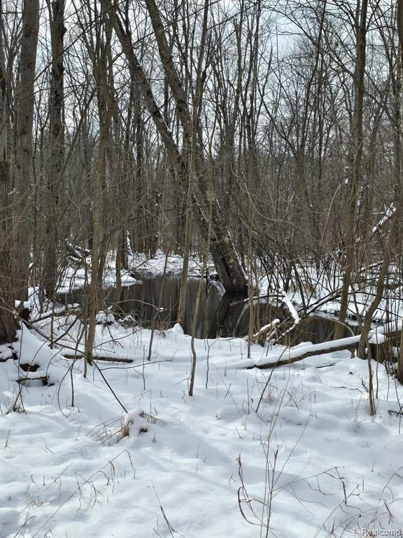 0 Falkenbury Road North Branch, MI 48461 - Photo 2 of 6