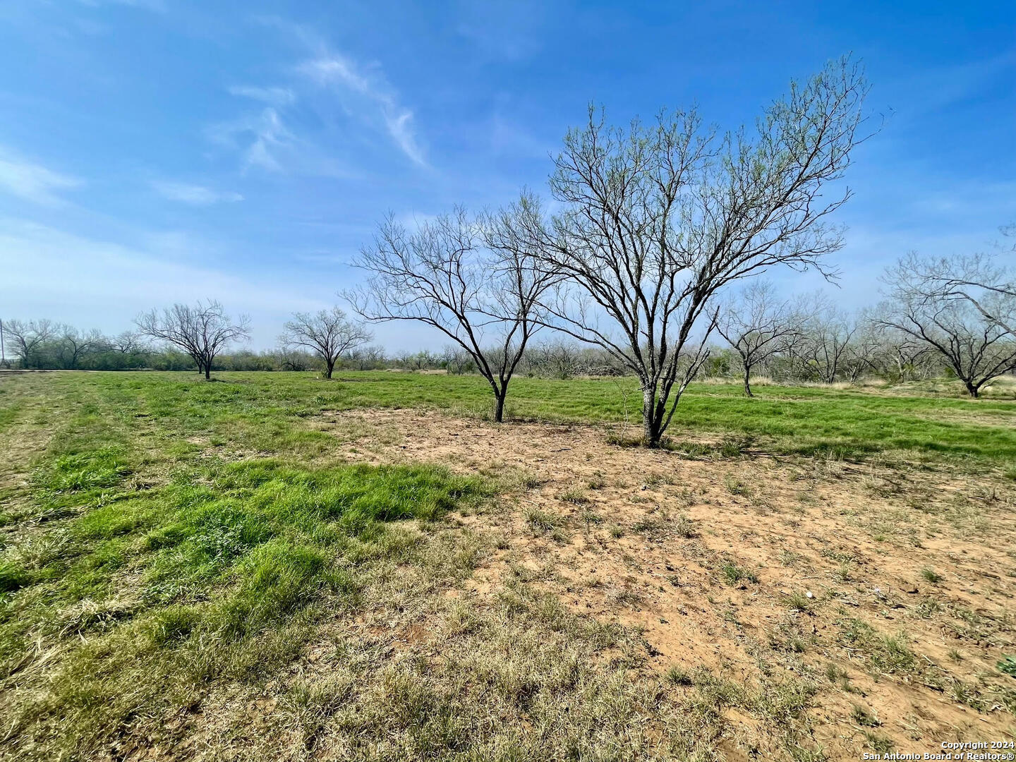 Tract 8 Fm 1332 Jourdanton, TX 78026 - Photo 3 of 13 a view of a garden with large trees