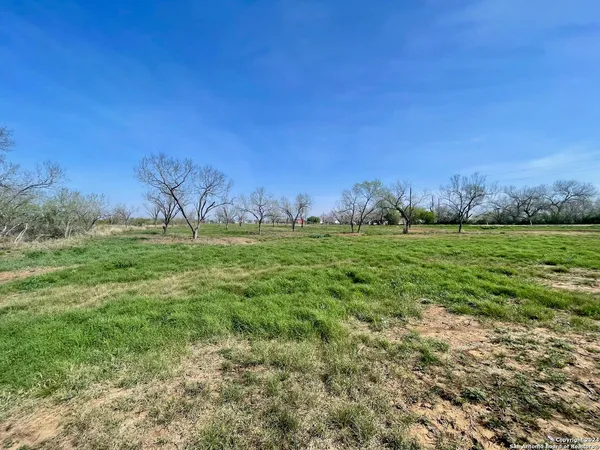a view of grassy field with trees