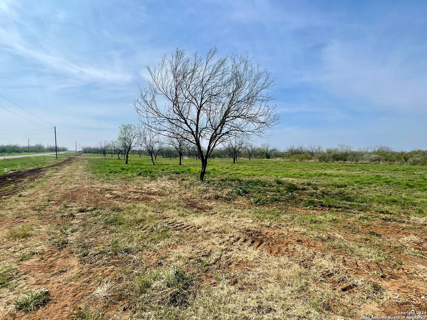 Tract 8 Fm 1332 Jourdanton, TX 78026 - Photo 5 of 13 a view of outdoor space with trees all around