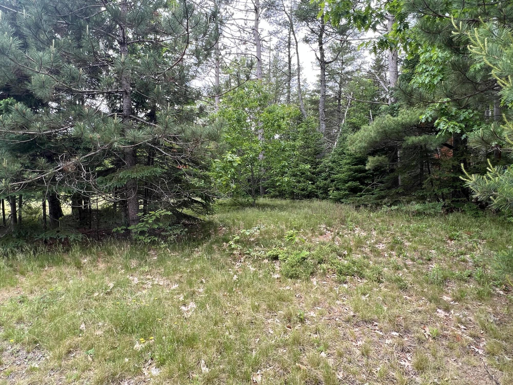7 Mt Tom Road Pembroke, ME 04666 - Photo 40 of 41 IMG_9734