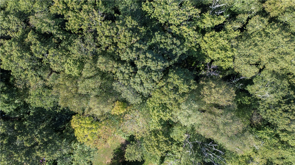 21 Nichols Lane Westerly, RI 02891 - Photo 6 of 29