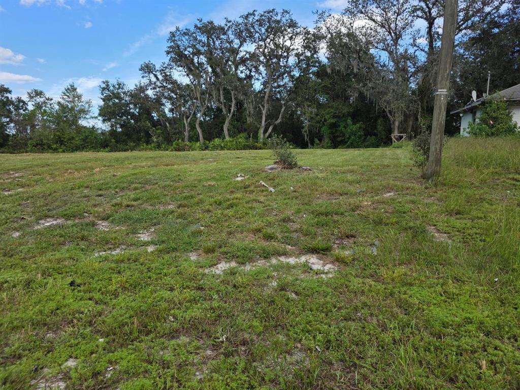 500 North Barrie Road Avon Park, FL 33825 - Photo 7 of 8 Gallery Image 7