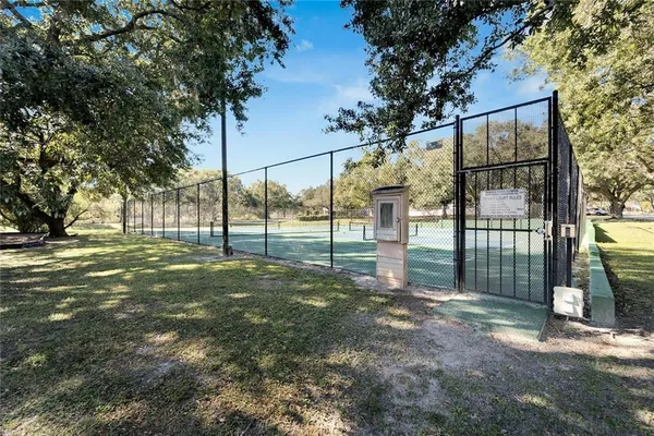 a view of a yard with a tree