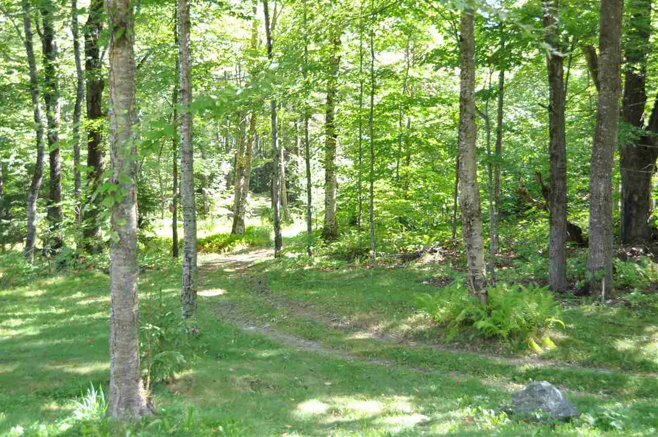 1109 County Road Lincoln, VT 05443 - Photo 30 of 37