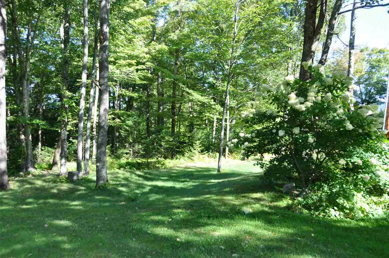 1109 County Road Lincoln, VT 05443 - Photo 31 of 37