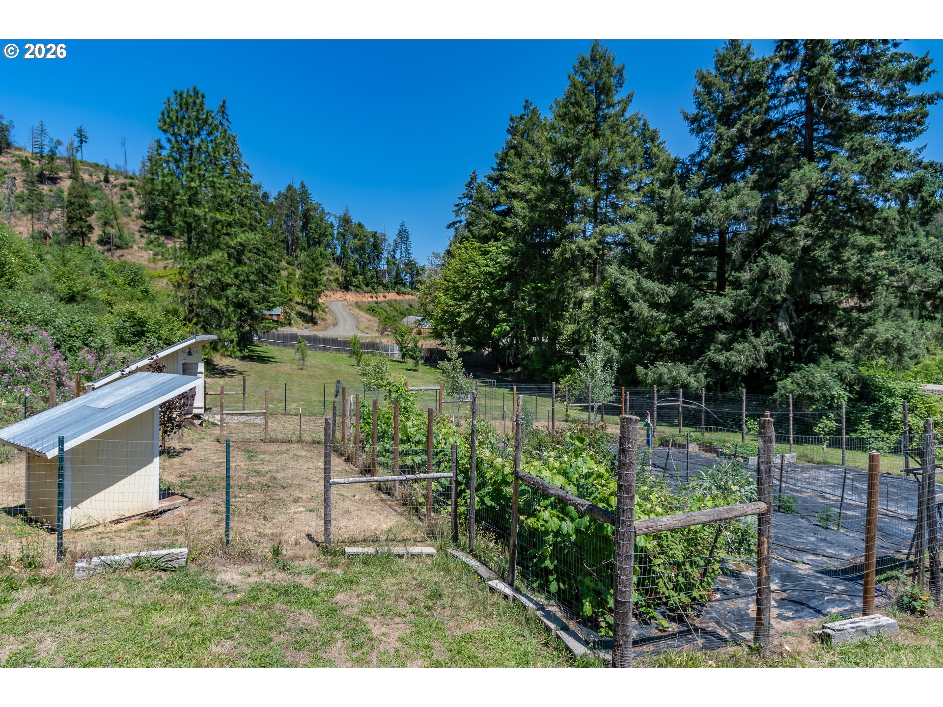 5833 Hubbard Creek Road Umpqua, OR 97486 - Photo 39 of 48 Coop