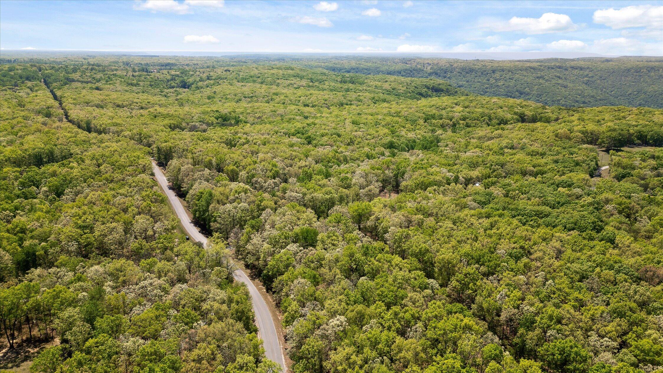 0 Deepwoods Road, Unit 15 Sewanee, TN 37375 - Photo 1 of 50 74-Deepwoods-74