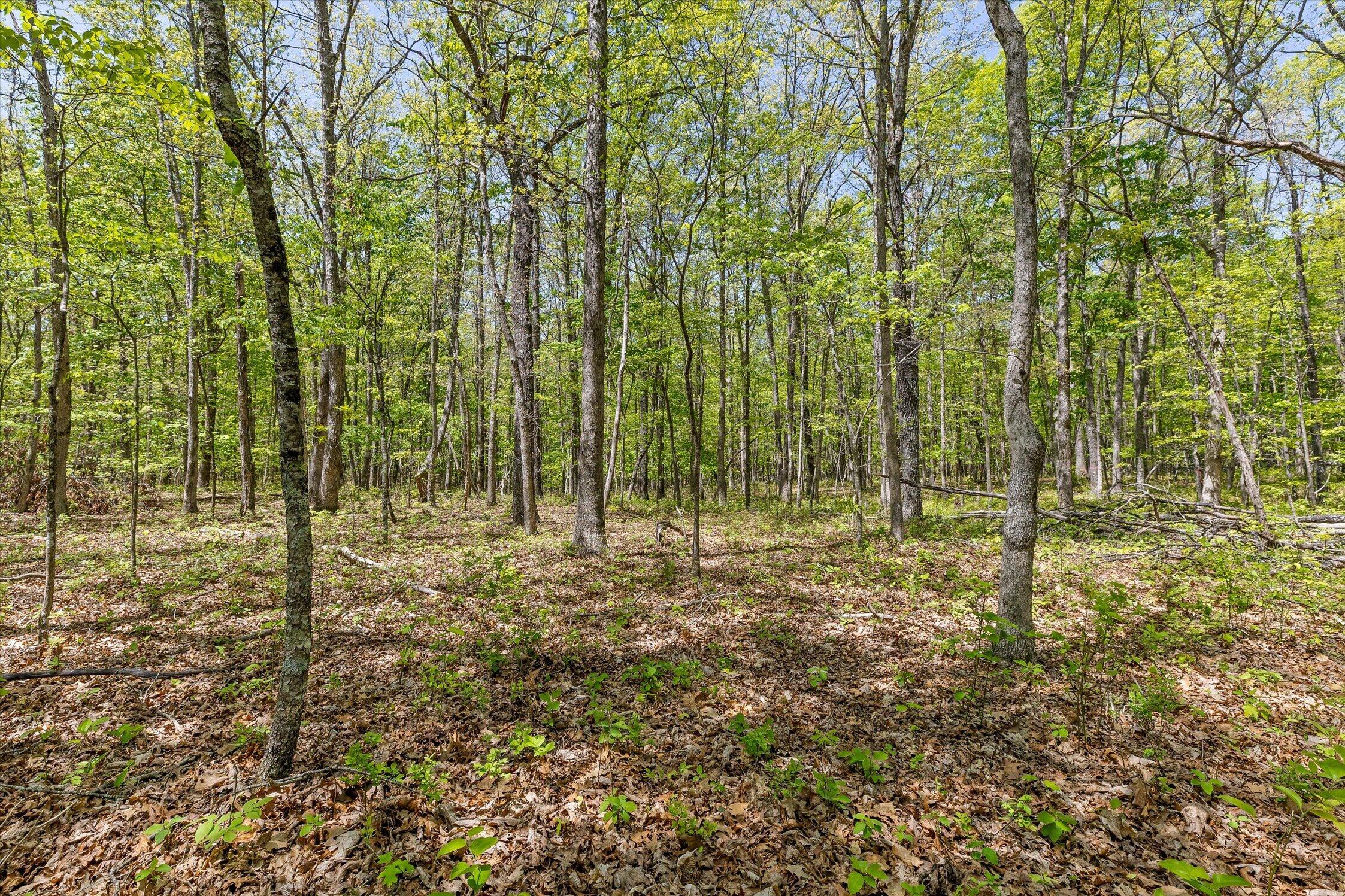 0 Deepwoods Road, Unit 15 Sewanee, TN 37375 - Photo 14 of 50 32-Deepwoods-32