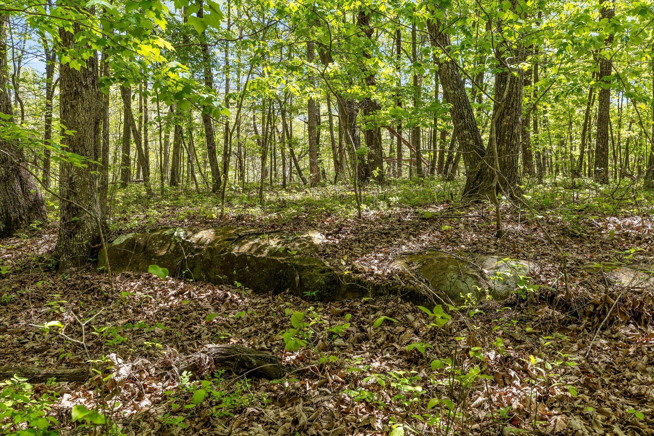 0 Deepwoods Road, Unit 15 Sewanee, TN 37375 - Photo 26 of 50 18-Deepwoods-18