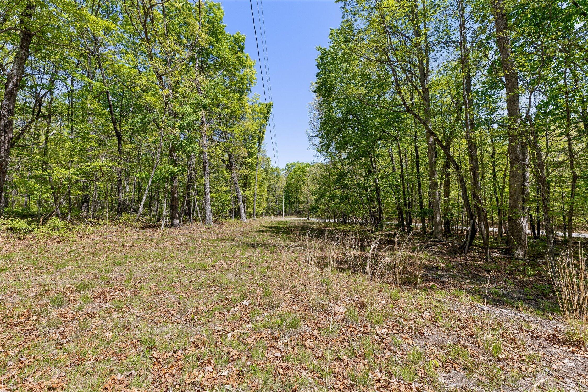 0 Deepwoods Road, Unit 15 Sewanee, TN 37375 - Photo 38 of 50 06-Deepwoods-6