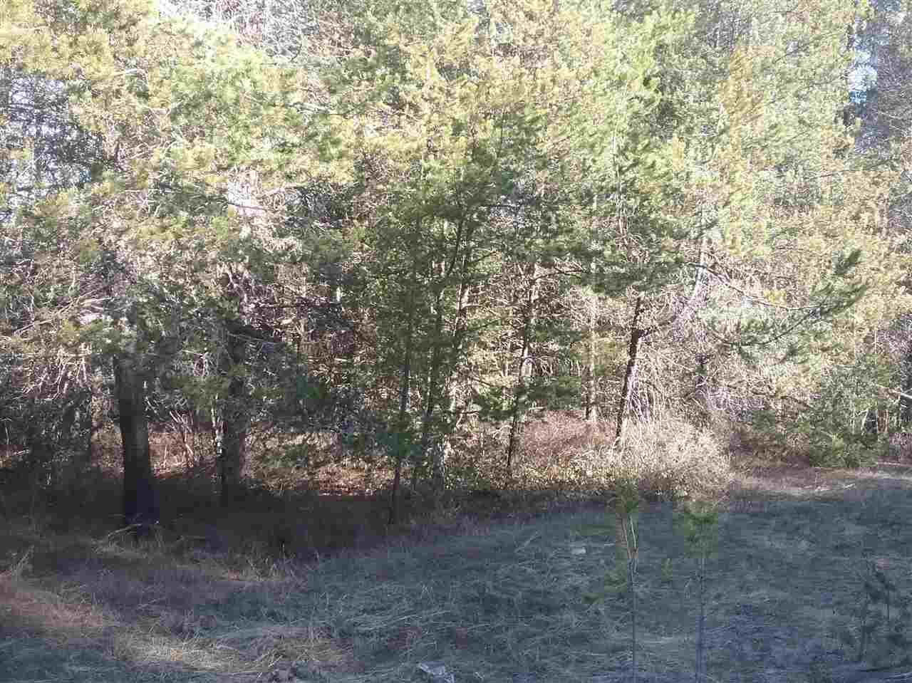 10975 Deer Valley Road Newport, WA 99156 - Photo 1 of 6 Gallery Image 1
