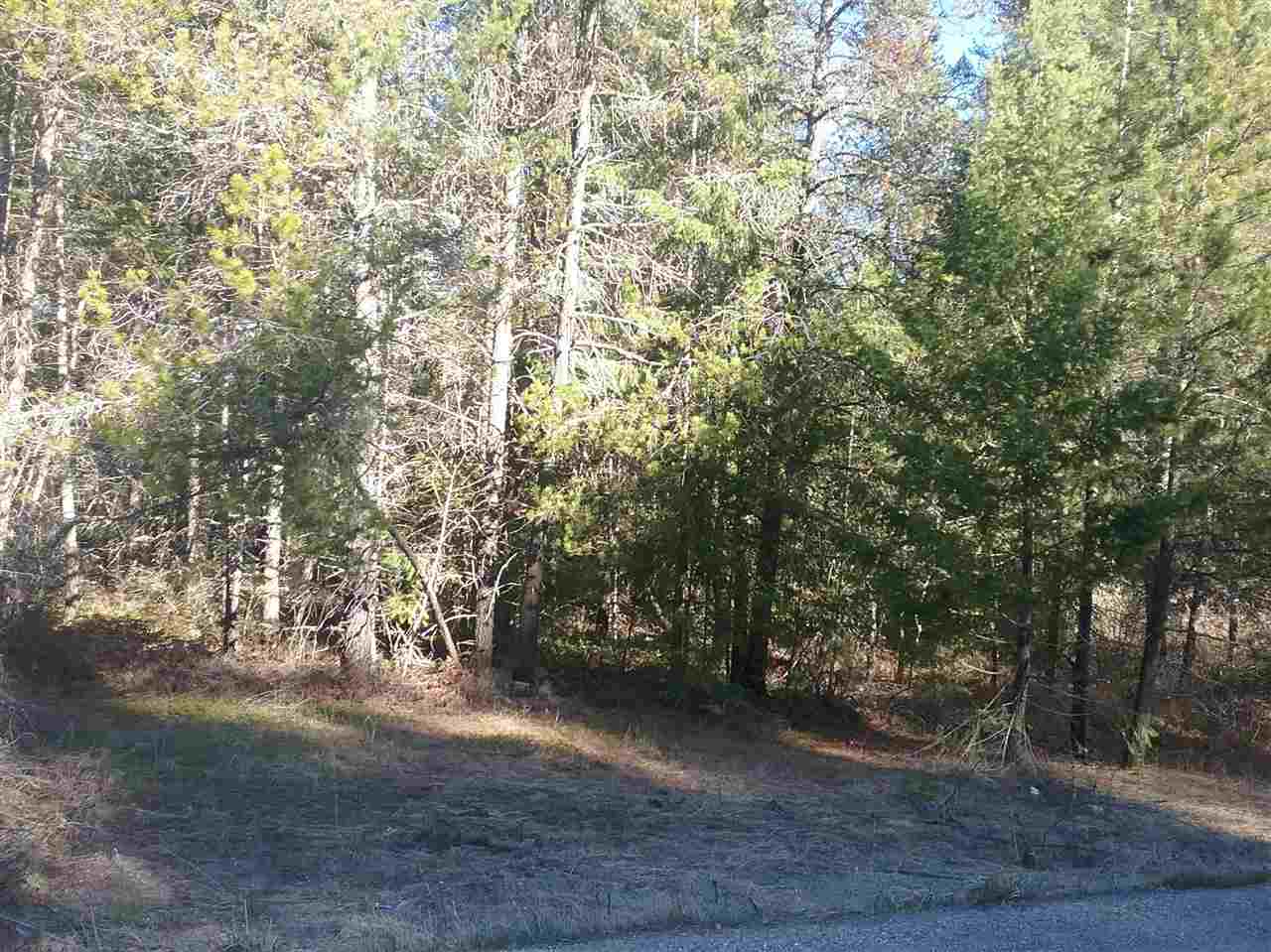 10975 Deer Valley Road Newport, WA 99156 - Photo 2 of 6 Gallery Image 2
