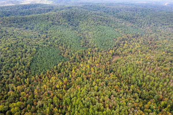 $307,828 | 0 Madison Cr, Fredericktown, MO 63645